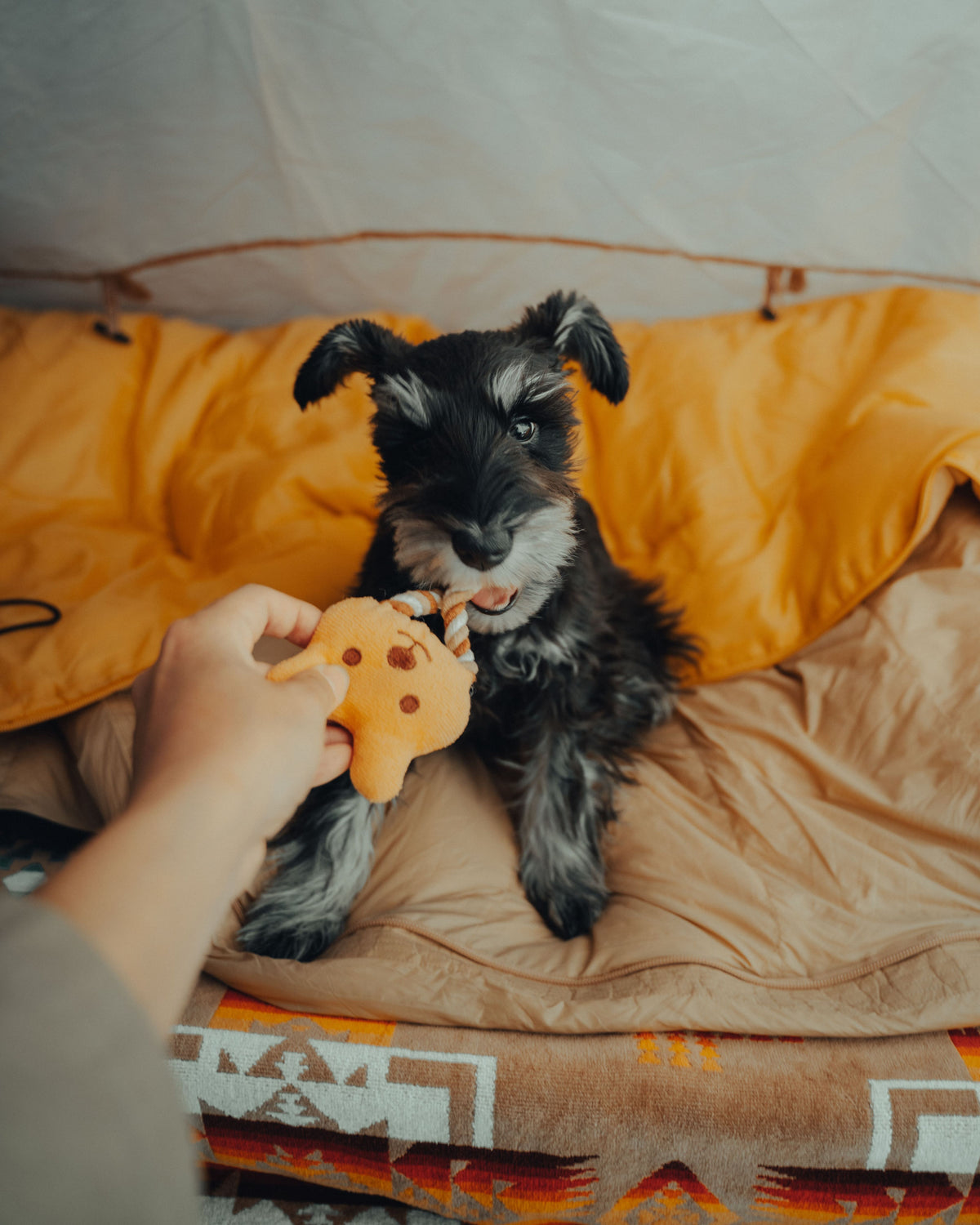 mp-lifestyle-dog-plush-toy-main