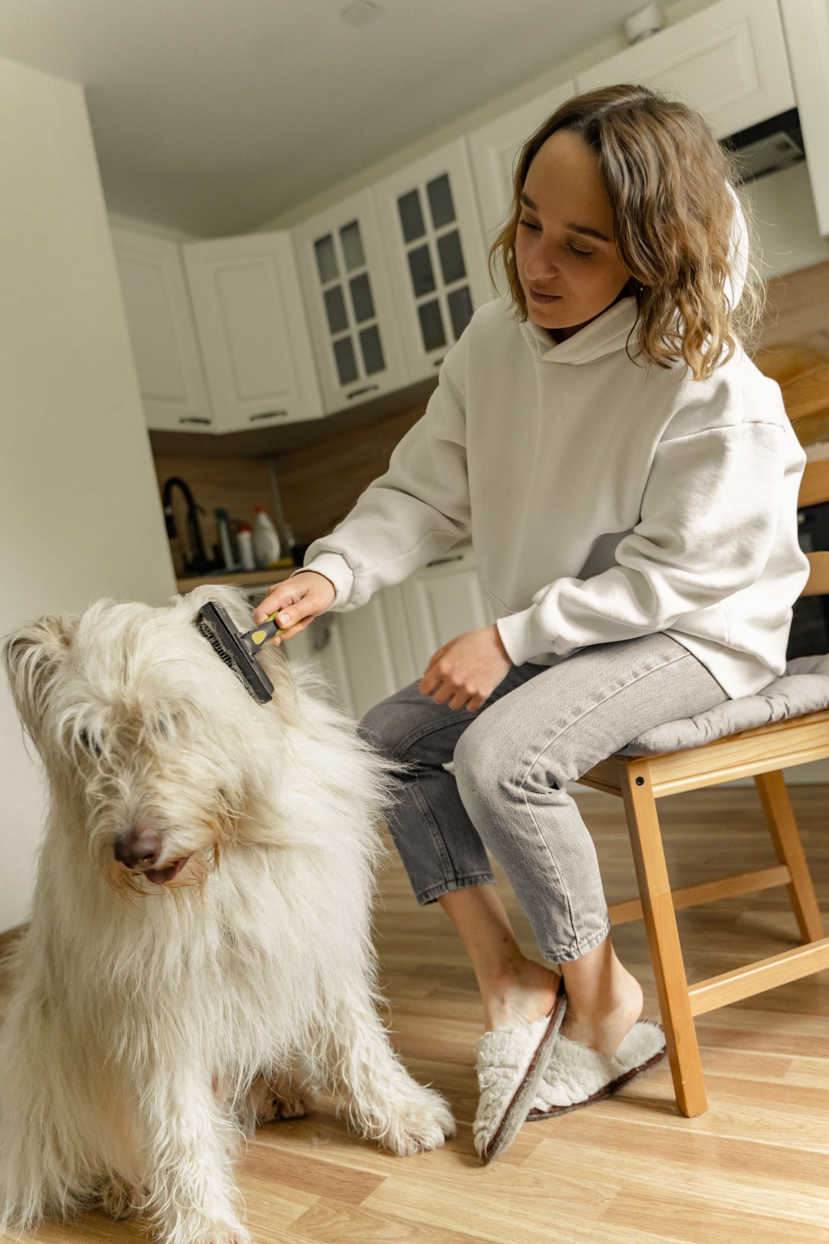 mp-lifestyle-grooming-dog-brush-main